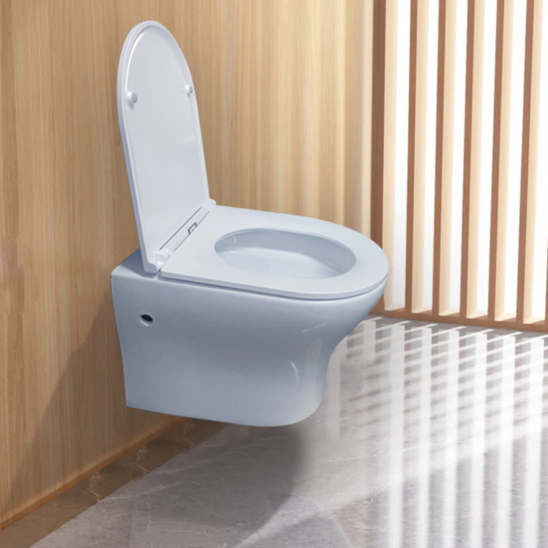 2903 toilet (1)