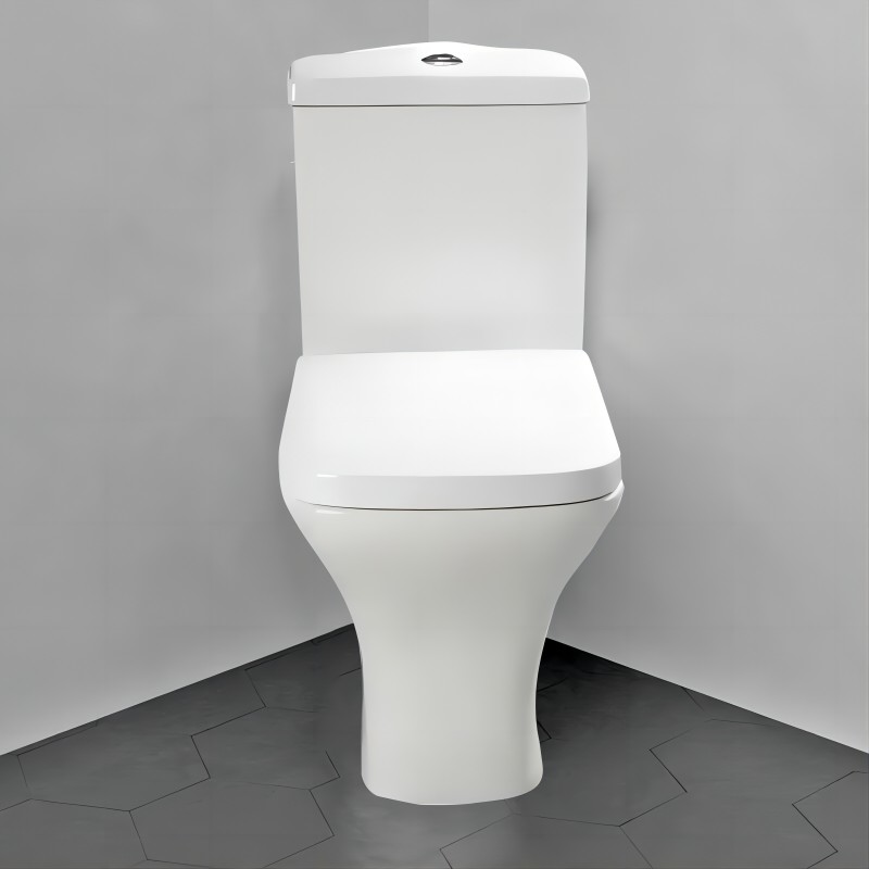 8801C शौचालय (2)
