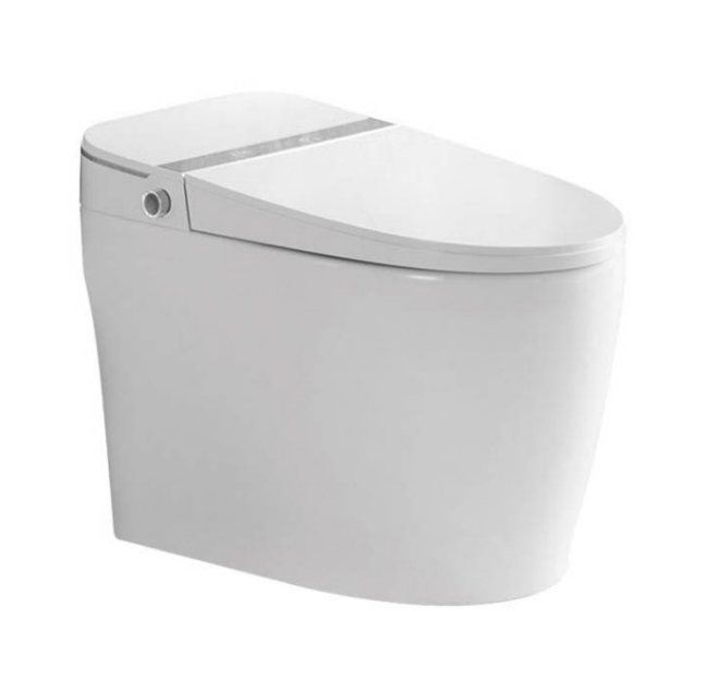 8921A toilet