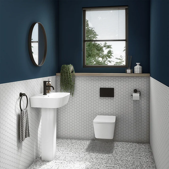 CH9920 (3)toilet