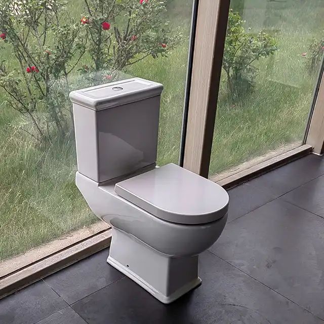 CT1800 (3)toalett