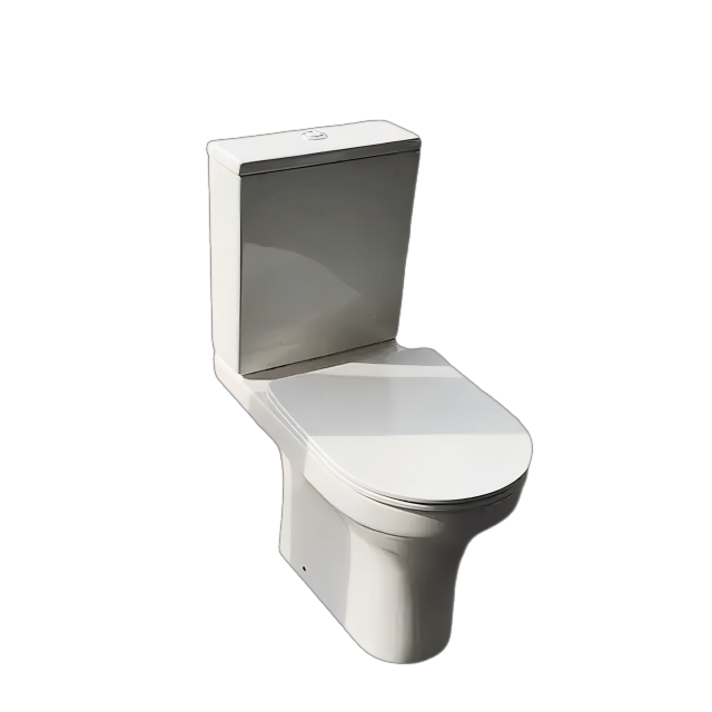 toilet CT8114 (3)