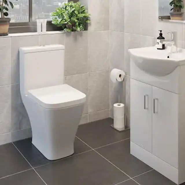 CT8126 Toilette (6)