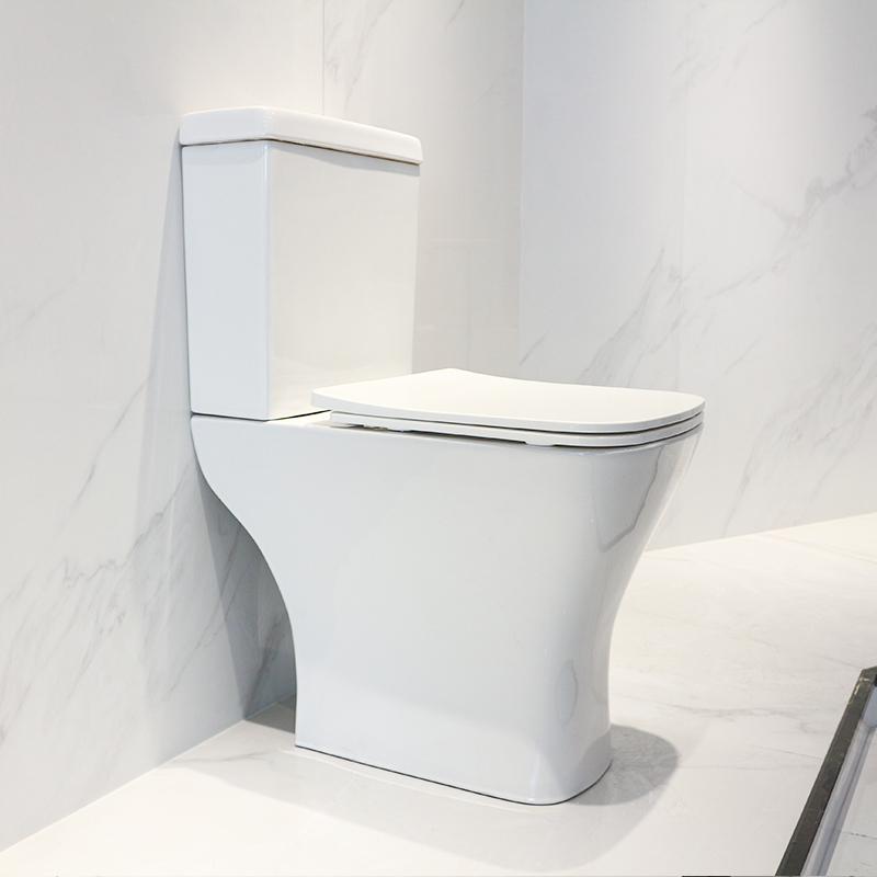 CT8801H toilet (3)