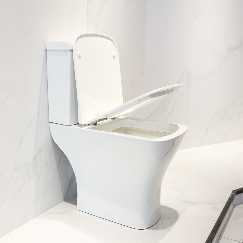 CT8801H toilet (4)