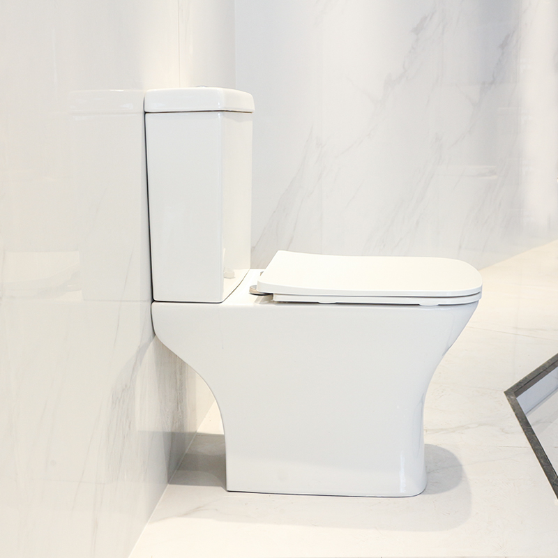 Toilet CT8801R (3)