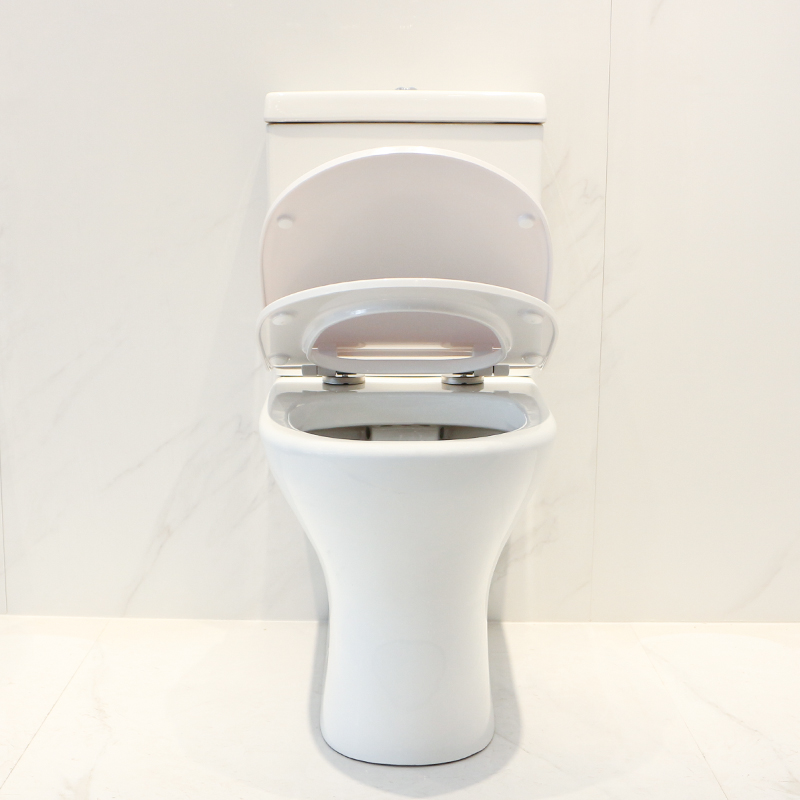 CT8802F शौचालय wc (1)