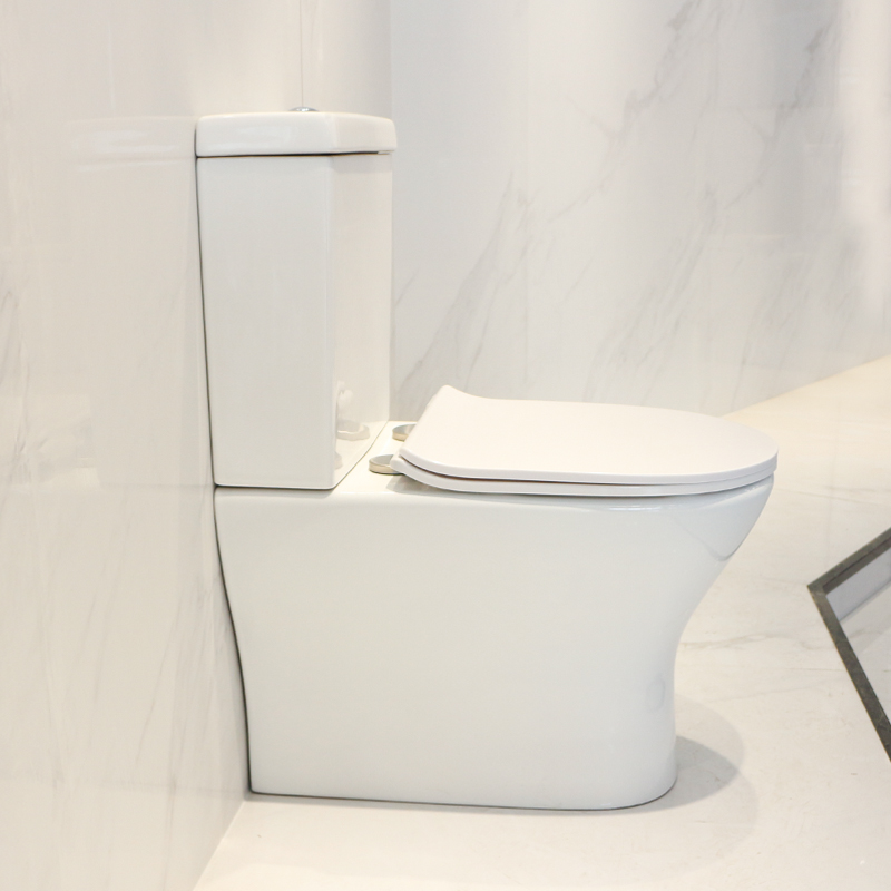 CT8802F toilet wc (4)