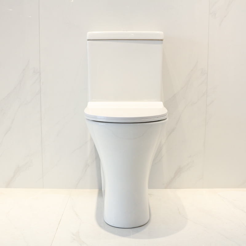 CT8802H toilet (1)