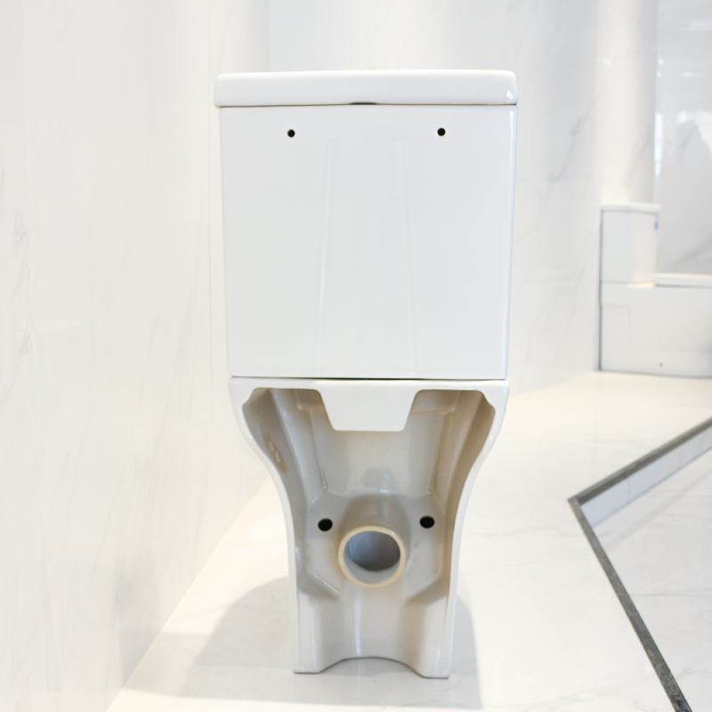 CT8802H toilet (6)