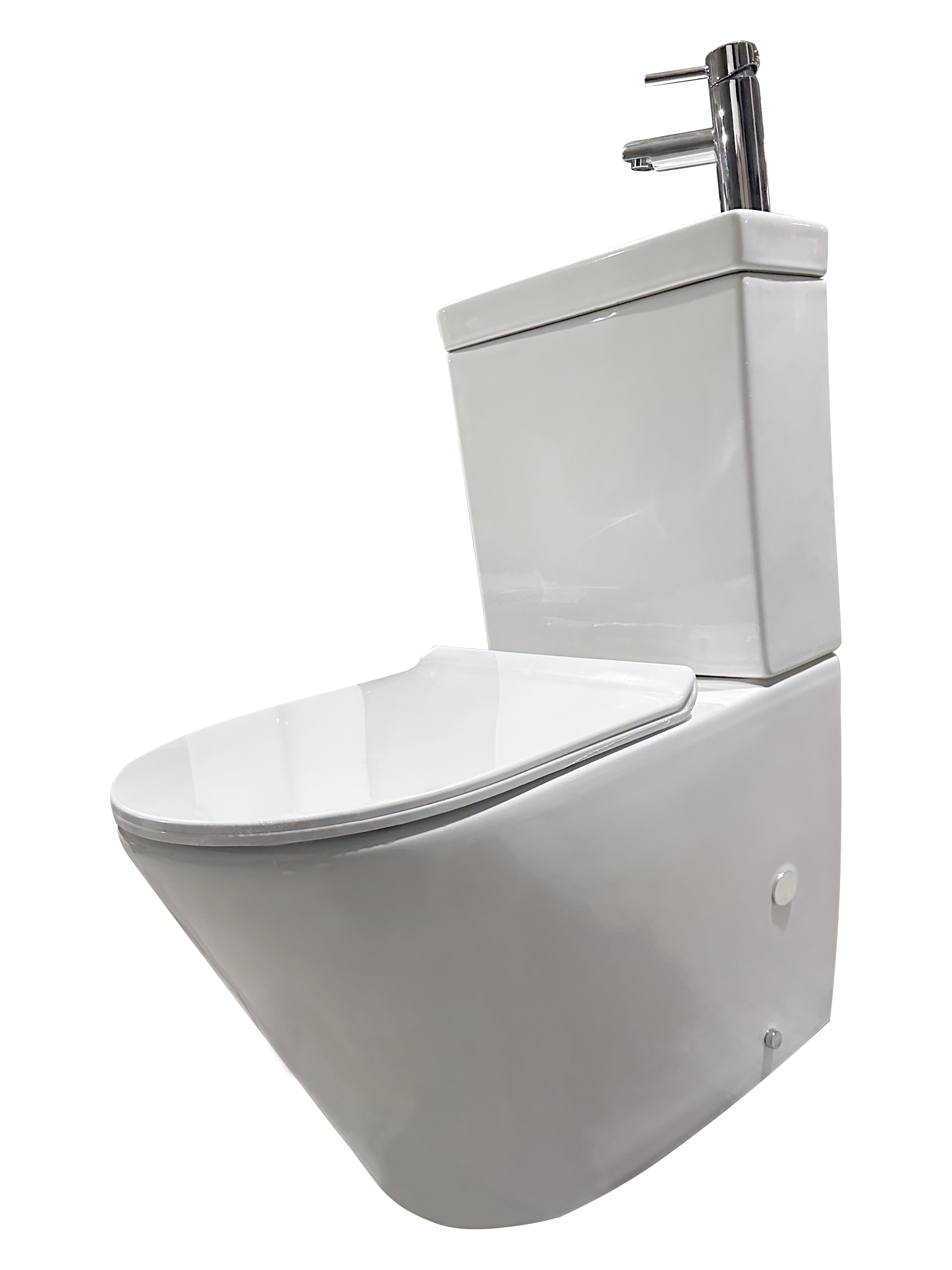CT9905A Toilet (4)