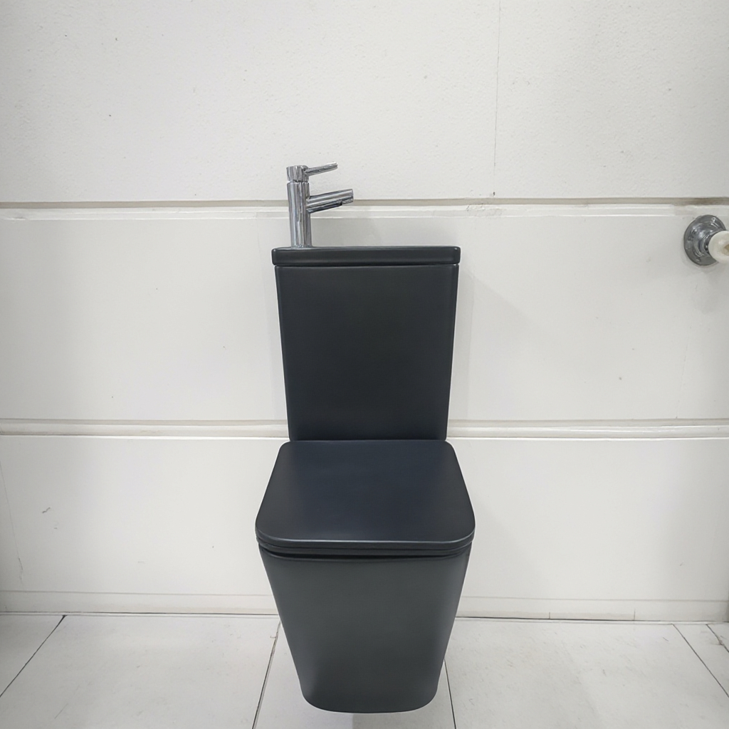 CT9905AB (138)Toilet