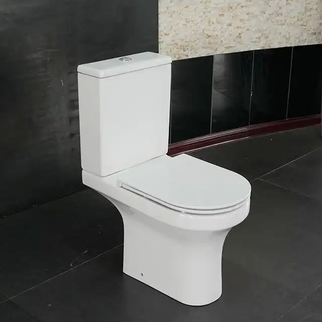 Toilette CT8114 (2)