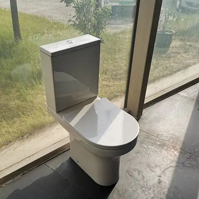 Toilette CT8114 (8)