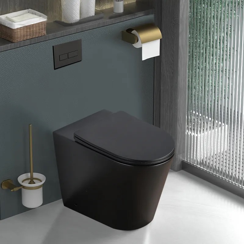 matte black toilet