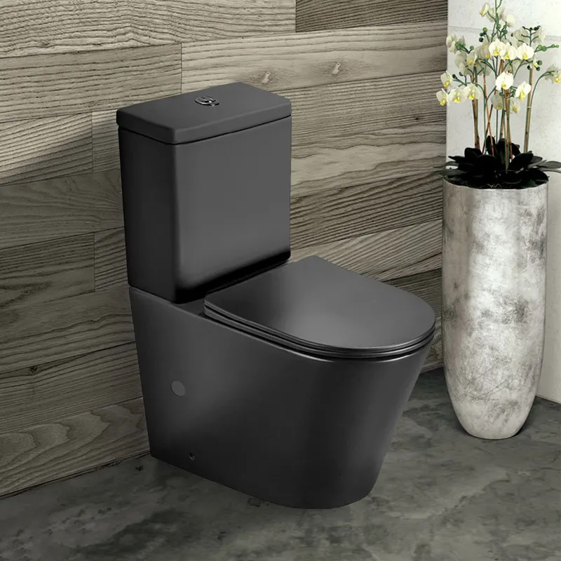 black color toilet