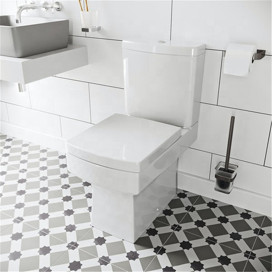 Close coupled floor standing sanitary toilet01