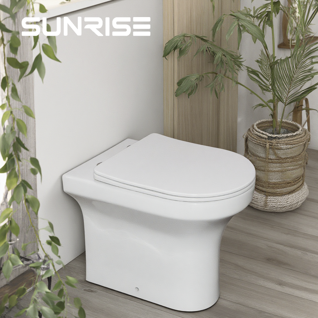 CB8114 (3)toilet
