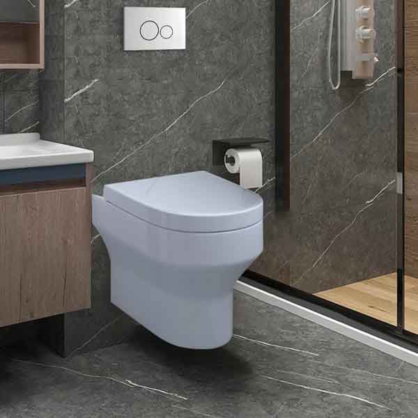 CH6601 toilet (3)