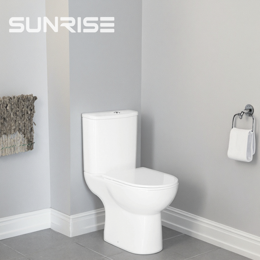 CT11815C  (2)toilet