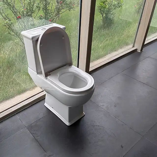 CT1800 toilet