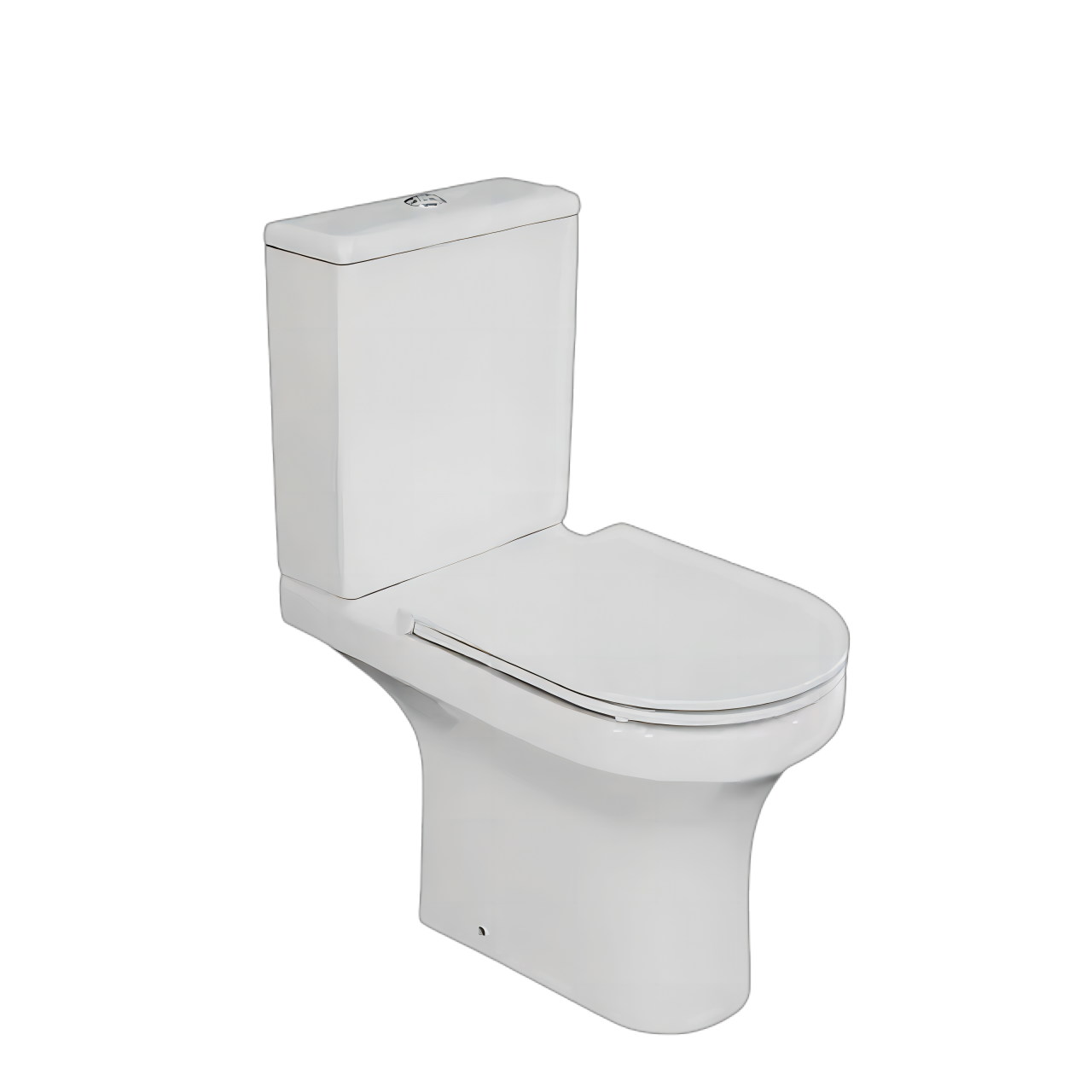 CT8114 toilet (2)