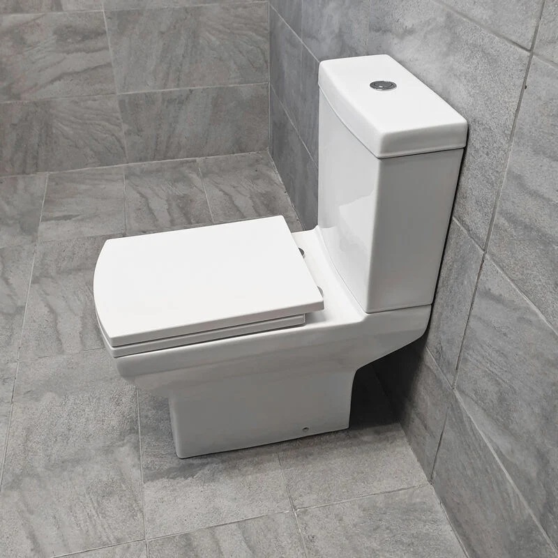 News Classification of toilet types